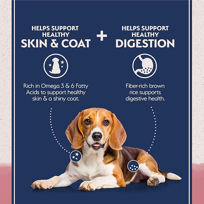 Natural Balance Limited Ingredient Adult Dry Dog Food - Complete Nutrition for Adult Dogs - Wholesome Grains Brown Rice Recipe - Limited Ingredient Formula - 12 lb - Salmon & Brown Rice