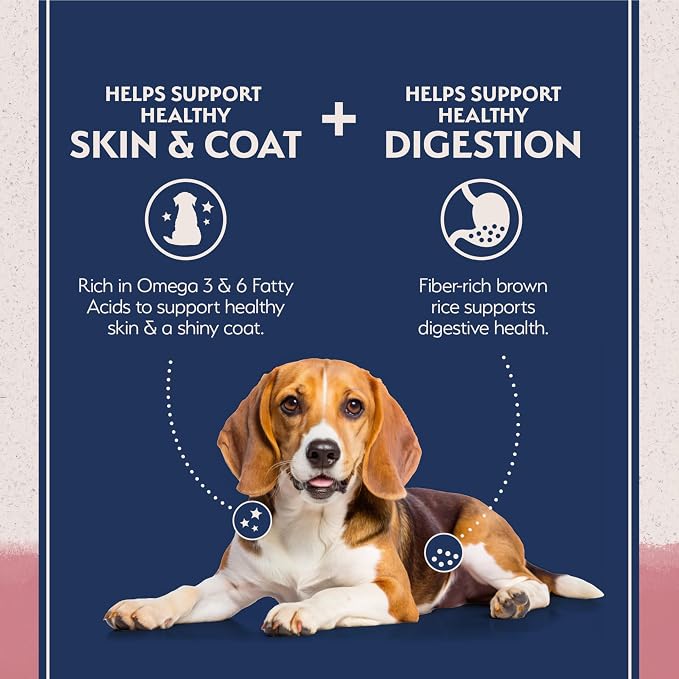 Natural Balance Limited Ingredient, Salmon & Brown Rice, 4 lb | Dry Dog Food with Wholesome Grains, Balanced Nutrition for Adult Dogs with Sensitivities, Skin and Stomach Support