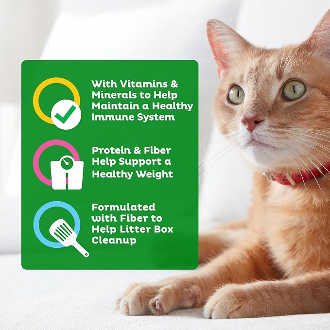9Lives Indoor Essentials Dry Cat Food with Chicken & Salmon, 3.15 lb. Bag | 4-Pack, 100% Complete & Balanced Nutrition For Indoor Adult Cats With Lean Protein & Fiber To Help Support A Healthy Weight