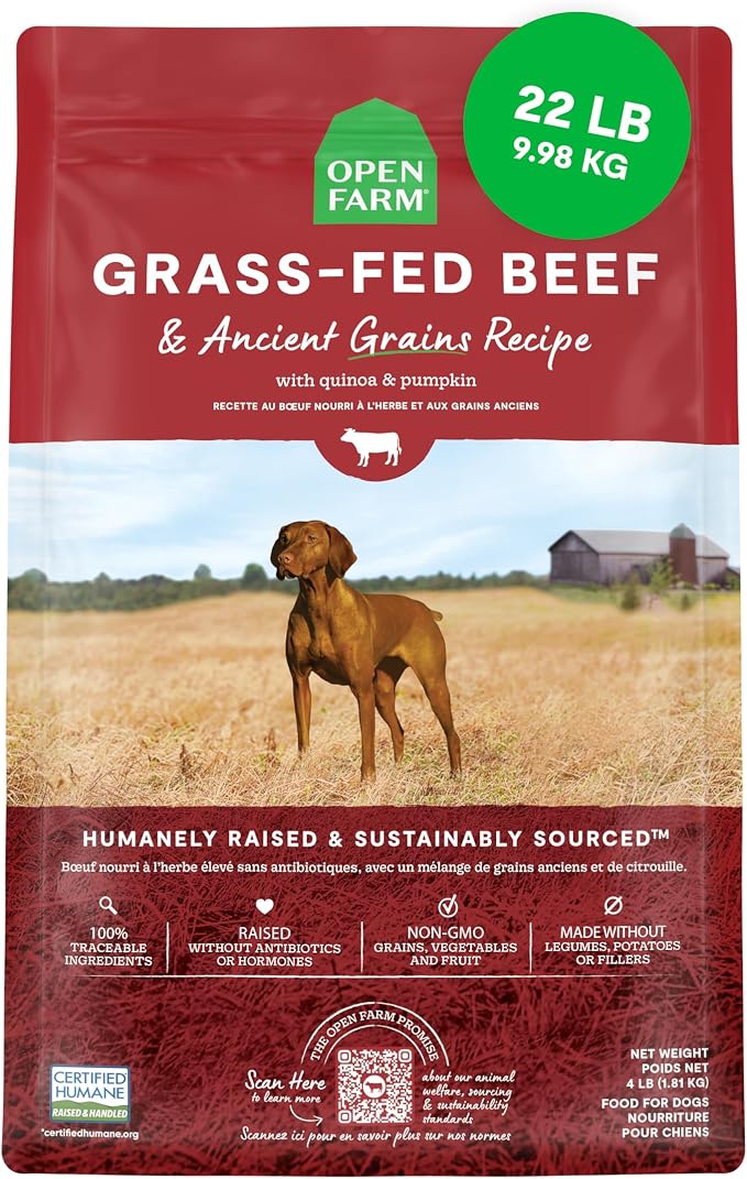 Open Farm Ancient Grains Dry Dog Food, Grass-Fed Beef Kibble, 22lb Bag | All Life Stages, All Breed Sizes, Protein-Rich & Nutrient Dense, 100% Traceable Ingredients, Non-GMO Fruits & Veggies.