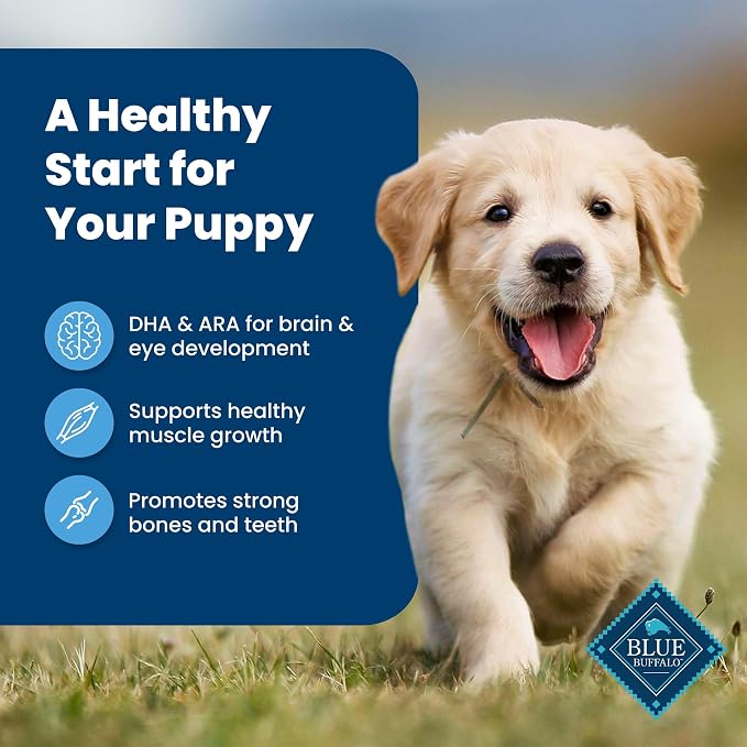 Blue Buffalo Life Protection Formula Chicken Puppy Dry Dog Food, 15 lb | With DHA for Brain Development, Real Chicken #1 Ingredient, Antioxidant-Rich LifeSource Bits, Promotes Healthy Muscle Growth