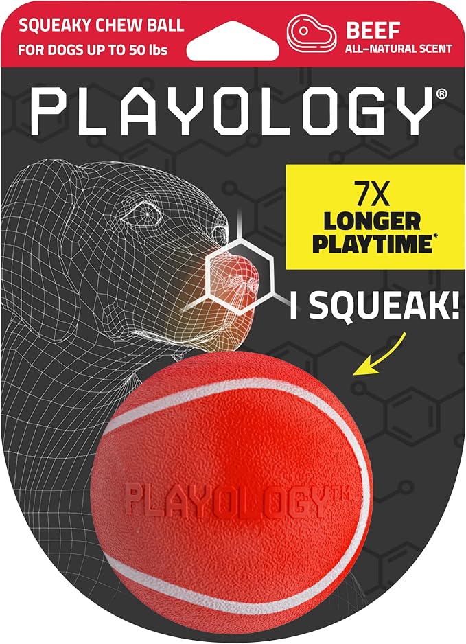 Playology Squeaky Chew Ball Dog Toy - Medium, Beef Scent
