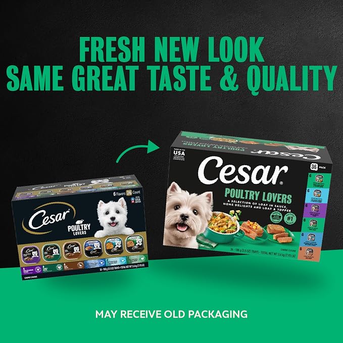 Cesar Classic Loaf in Sauce Wet Dog Food, Poultry Lovers, 3.5 oz, 36 Count | Real poultry #1 ingredient, no fillers or artificial flavors, easy-to-digest, slow-cooked tender texture, easy peel trays