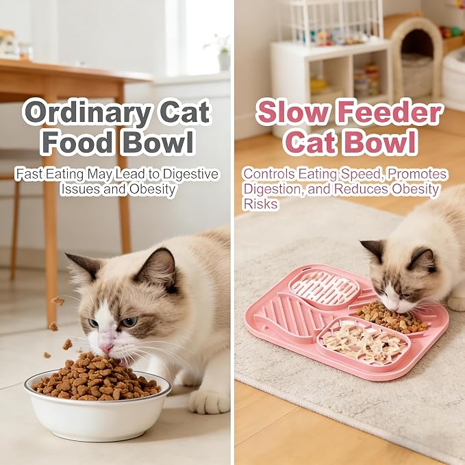 AZY 3-Piece Slow Feeder Cat Bowl Set with Strong Suction Cups