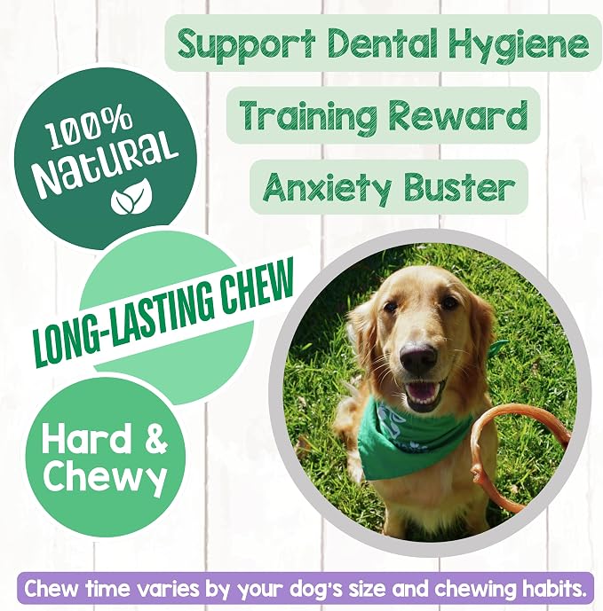 Nature Gnaws Bully Stick Rings Long Lasting Rawhide Free Dog Chews, 5 Count