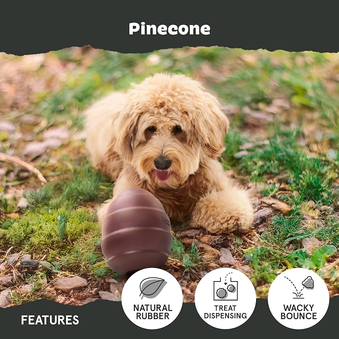 BarkBox Pine Cone Dog Toy