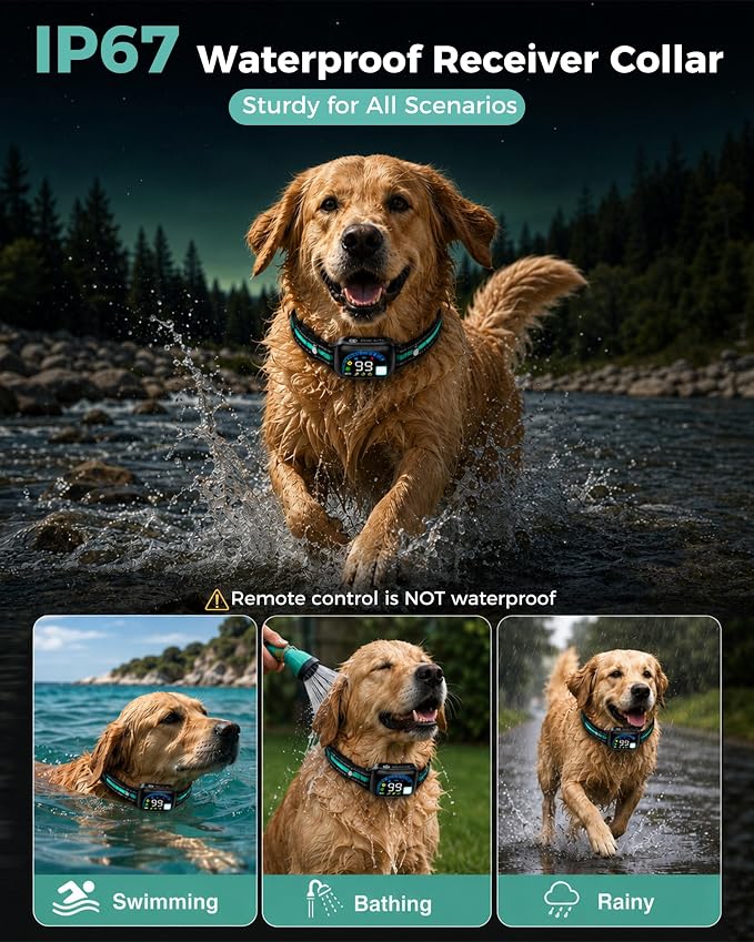 Sevy Buzzy 2-in-1 Dog Bark Collar & Dog Shock Collar with Remote for 2 Dogs
