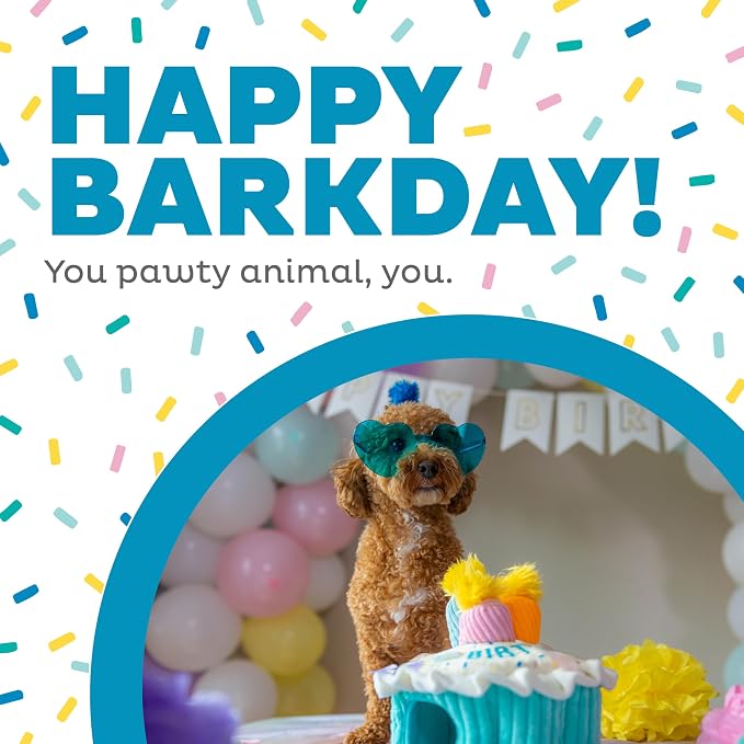 Outward Hound Hide-A-Birthday-Cake Plush Squeaky Dog Toy, 7.5" x 4.7" | Hide-n-Seek Puzzle, 3 Removable Candles, Toss & Fetch, Interactive Enrichment, Boredom Buster, Light Chewers, Dogs & Puppies