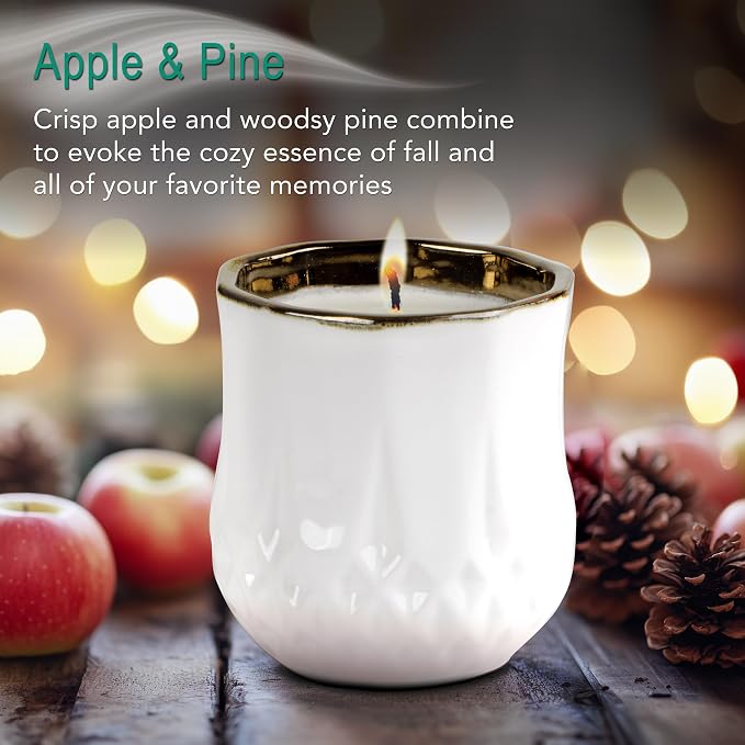 Hyggelight - The Growing Candle, Apple & Pine Scented, 9oz Ceramic Pot, Aromatherapy Candles, 100% Soy for Women and Men, Astrid
