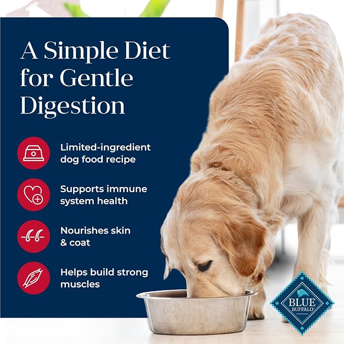 Blue Buffalo Basics Salmon Adult Skin & Stomach Care Dry Dog Food, 24 lb | Real Salmon #1 Ingredient, Limited Ingredient Diet, Antioxidant-Rich LifeSource Bits, Skin & Coat Health