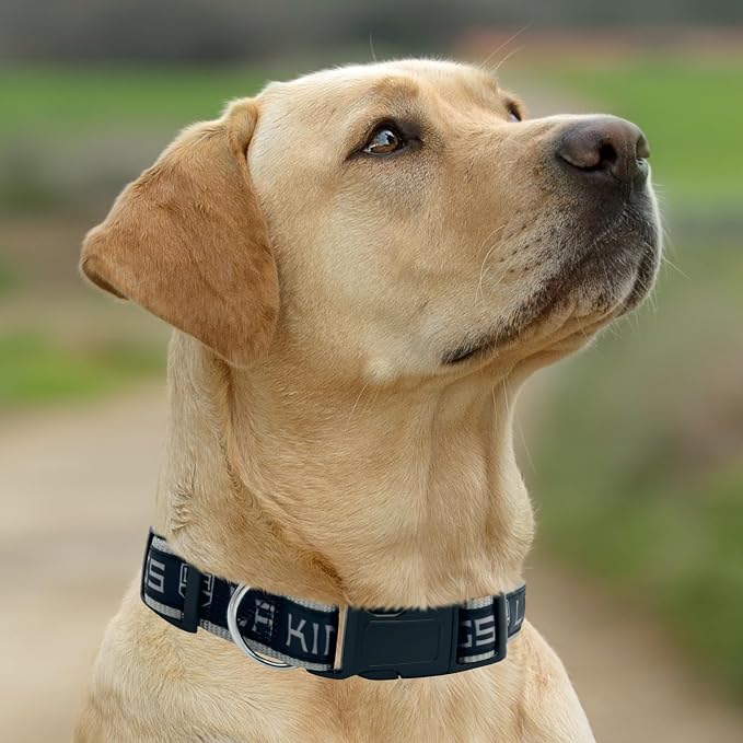 Pets First NHL Collar for Dogs & Cats. Adjustable, Cute, & Stylish! The Ultimate Hockey Fan Collar!