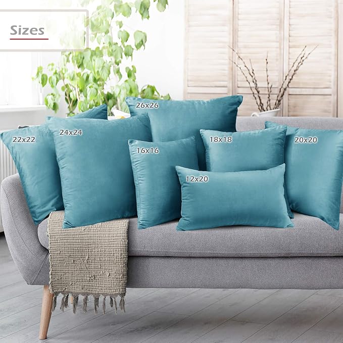 Throw Pillow Inserts Pack of 2 with Velvet Soft Solid Decorative Square Throw Pillow Covers Set for Sofa Couch Car Bedroom, 18X18 Throw Pillows Inserts with 16x16 Washable Cushion Covers, Beach Blue