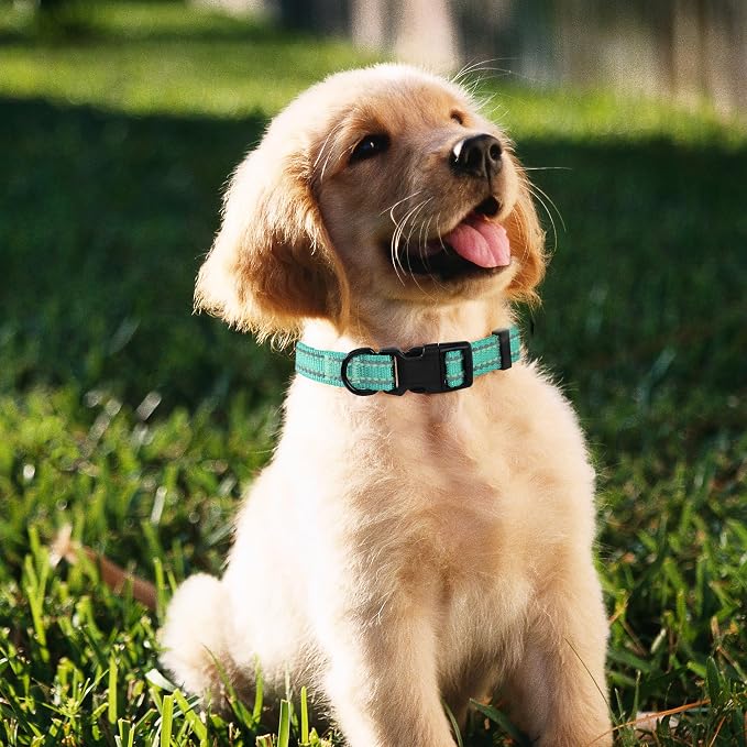 Mile High Life Reflective Dog Collar, Adjustable Lightweight Quick Release