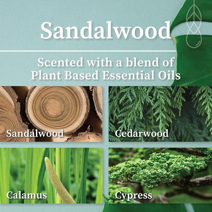 Hemlock Park Sandalwood Apothecary Scented Candle | Crackling Wood Wick, Botanical Fragrance & Coconut Apricot Wax | Up to 60 Hour Burn Time | 8 oz | Made in USA