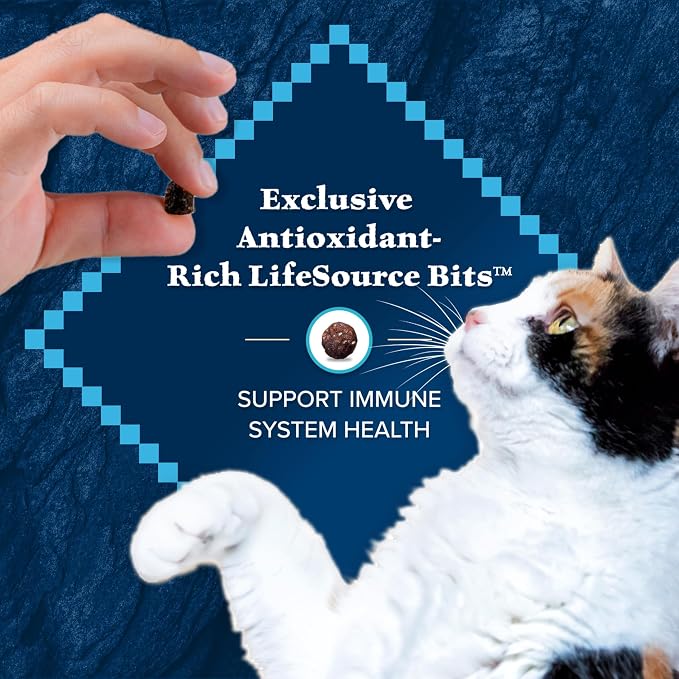 Blue Buffalo Wilderness Duck Adult Dry Cat Food, Grain-Free, 5 lb | Real Duck #1 Ingredient, High Protein & Grain-Free Recipe, Supports Immunity with Antioxidant-Rich LifeSource Bits