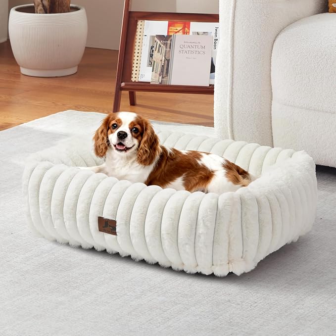 Washable Dog Bed for Small Medium Dogs, Rectangle Orthopedic Pet Bed with Removable Cover, Fluffy Memory Foam Dog Beds with Anti-Slip Bottom, Cream (25x21x7 inches)