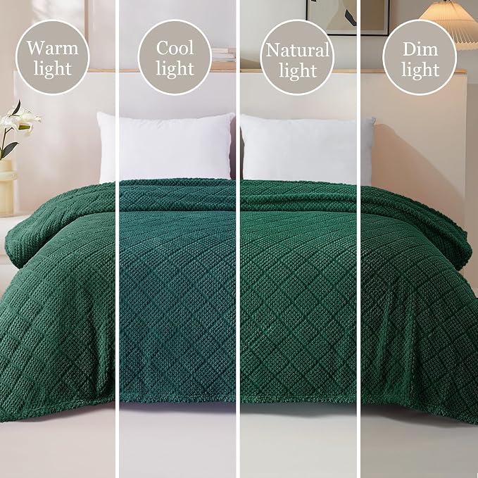 Whale Flotilla Soft Fleece Throw Blanket for Couch, Emerald Green | Jacquard Waffle Blankets for Home Decor, Lightweight and Cozy, All Season Suitable, 50x60 Inch