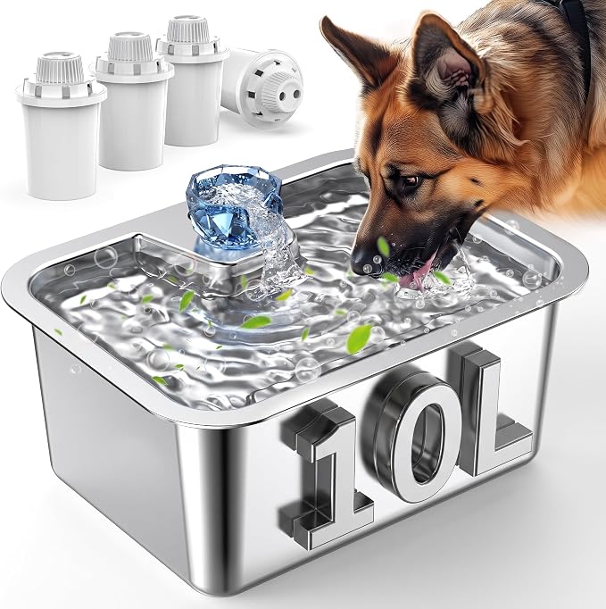 Lesotc Dog Water Fountain, 10L Stainless Steel Large Pet Fountain | Includes 4 Filters, Ultra-Quiet Pump and Circulating Flow, Automatic Dog Water Bowl for Multi-Pet Homes