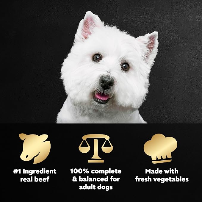 Cesar Wholesome Bowls Wet Dog Food, Beef & Green Beans, 3 oz, 10 Count | Real chicken #1 ingredient, 11 key ingredients or less, no by-products or artificial flavors, serve solo or with dry food