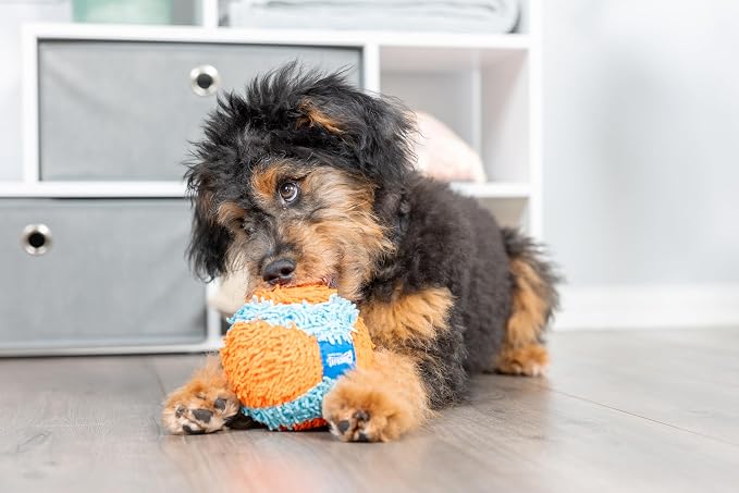 Chuckit! Indoor Fetch Ball Dog Toy, 4.75in, Orange and Blue
