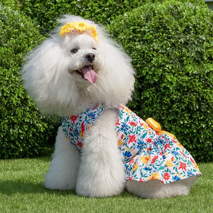 CuteBone Dog Mesh Dress Puppy Sundress Pet Outfit Summer Fashion for Small Dogs Girl Cat Clothes