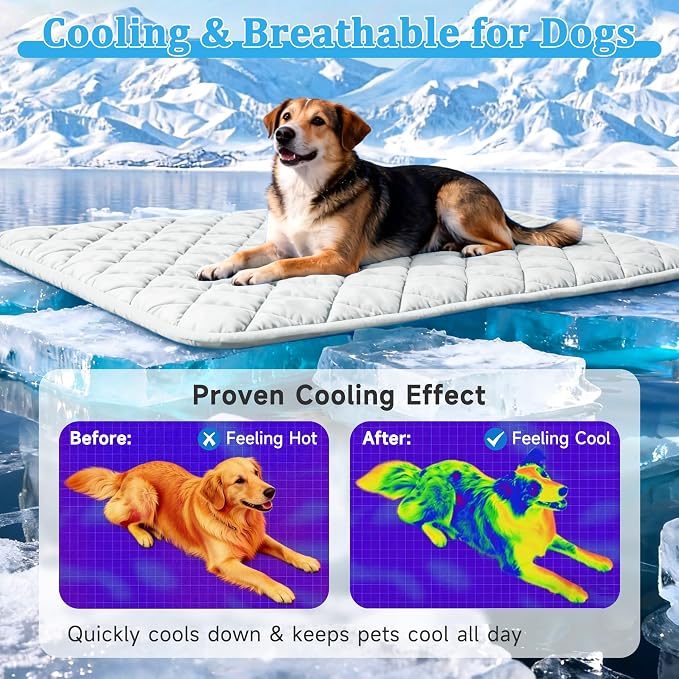 Cooling Blanket for Dogs, Dog Cooling Mat & Bed, Q-MAX>0.42- Lightweight, Durable & Breathable Pet Throw for Sofa, Car and Furniture Protector, Reversible Design, Easy to Clean, 40"x60", Gray