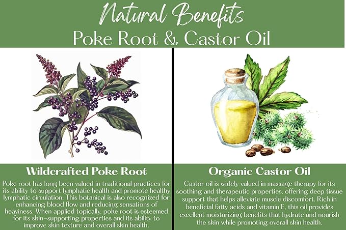 Poke Root & Castor Oil Salve - Cysts, Boils, Fibroids, Swollen Lymph Nodes, Breast & Joint - Vegan Lymphatic Support Massage Balm - Natural Deep Tissue Ointment (2oz)