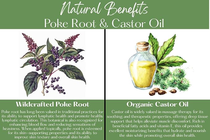 Poke Root & Castor Oil Salve -1oz- Cysts, Boils, Fibroids, Swollen Lymph Nodes, Breast & Joint - Vegan Lymphatic Support Massage Balm - Natural Deep Tissue Ointment - Handmade in The USA