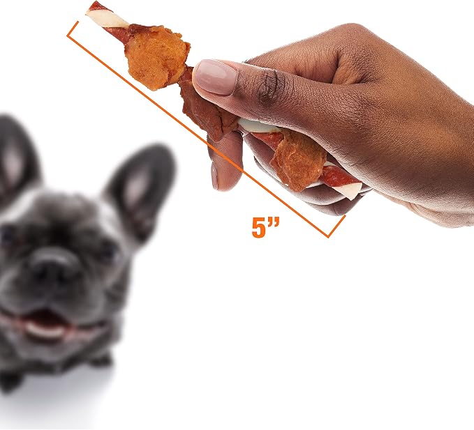 Good'N'Fun Triple Flavored Rawhide Kabobs for Dogs, 4-Ounce (Pack of 2)