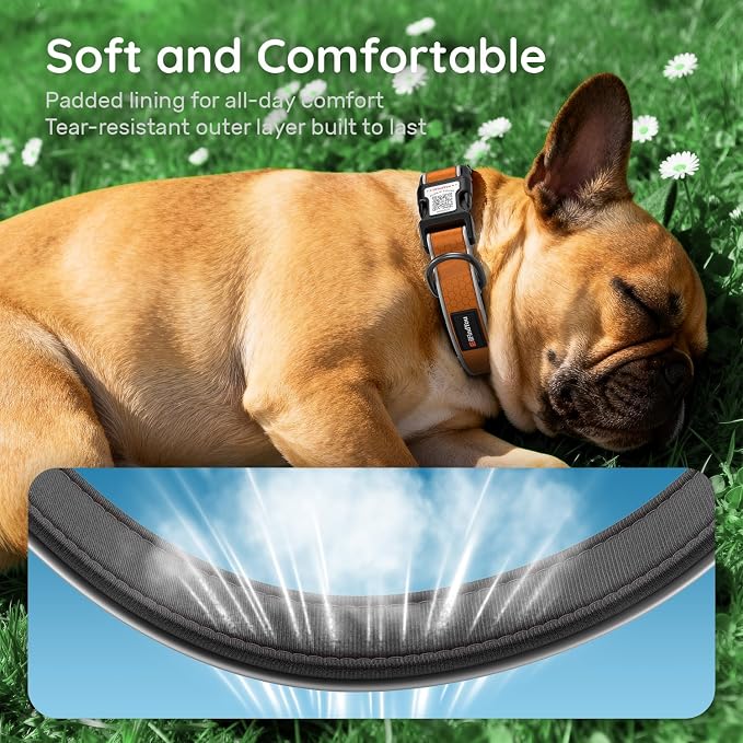 Personalized Dog Collar with QR Code Dog Tag, Oxford Orange L | Anti-lost, Oxford, reflective, padded, XS-L(8"-24"), QR buckle shares lost pet profile, location alerts when scanned, No Fees