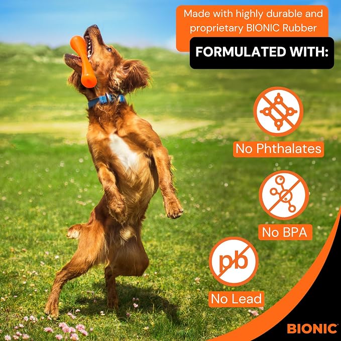 BIONIC Urban Stick Dog Toy for Dogs Up to 20 lbs, Small