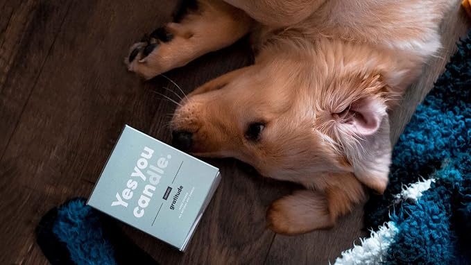 Yes You Candle - Gratitude, Bergamot & Citrus, Highly-Scented, Inspirational Soy Candle, Made in USA, Pure Essential Oils, Aromatherapy, 8 oz