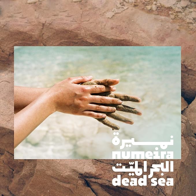 Dead Sea Mud Powder 100% Pure Cosmetic Clay Powder Rich in Minerals - Gentle Face Exfoliator Powder for Deep Cleansing, Body Scrub, or Clay Mud Mask - Pore Cleansing & Skin Detox - 250g