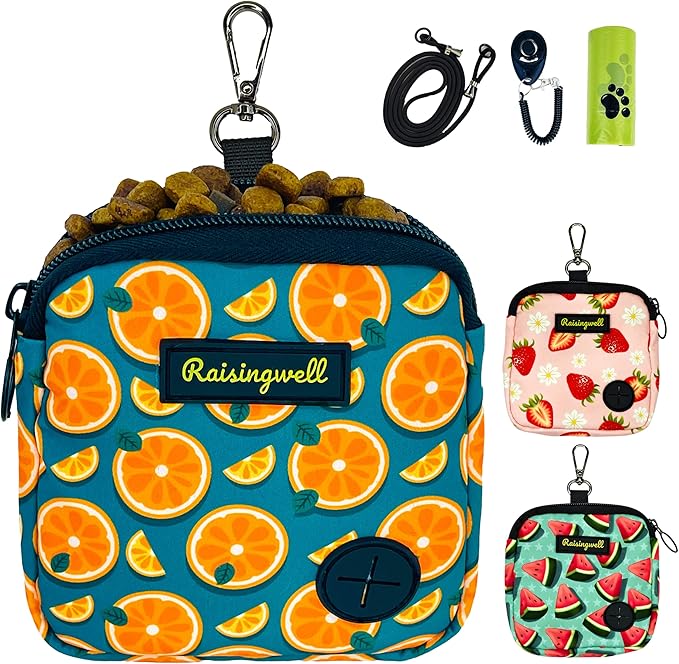 Raisingwell Dog Treat Pouch for Pet Walking and Training with Clicker Poop Bags Small Fanny Zipper Pack Holder for Puppy Snack Dispenser Kit for Leash and Outdoor Use (Fruit Orange)