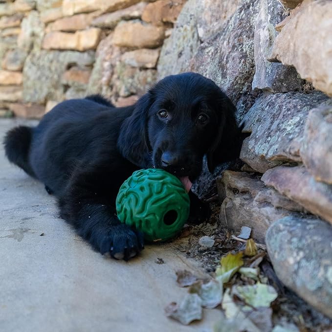 PetKORE Luna Ball - 4" Large, Green, Dog & Puppy Toy, Flexible Rubber, Teething & Chewing, Tactile Surface, Bounce & Fetch, Pet Indoor-Outdoor Play