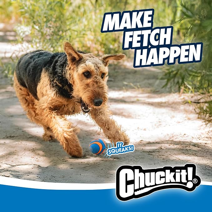 Chuckit! Ultra Squeaker Fetch Balls for Dogs, Floats, Medium 2.5in, 2 Pack
