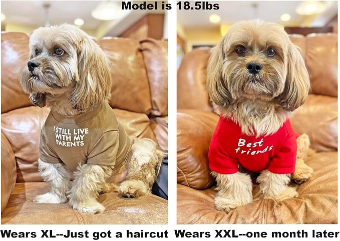 Cute Dog Clothes, T Shirt for Medium and Small Dogs Girl Boy,Puppy.Breathable Soft Dog Costume for Pet Dogs Cats, Pet Pullover Jumper, Cat Clothes (M-(7~11lb), Chest~16", Red, Parents)