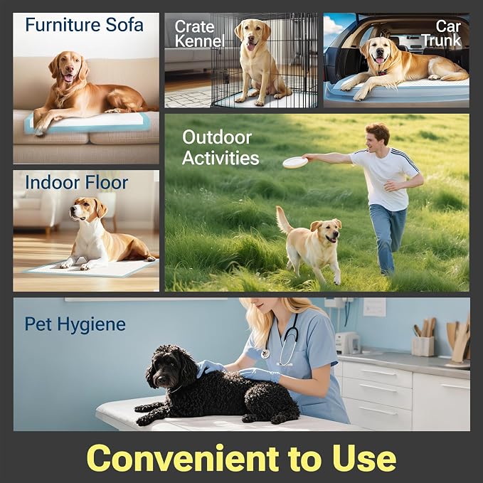CLEAN SPACES Puppy Pads 100 Count, 22"x22", Soft and Super Absorbent | Charcoal Disposable Pee Pads for Dogs / Wee Wee Pads / Potty Training Pads, Underpads with Activated Carbon to Eliminate Odor