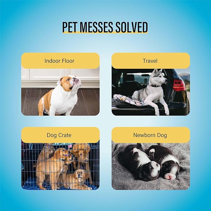 COCOYO Dog Training Pads Large Size丨Eliminating Urine Odor Puppy Pads 丨 Premium Dog Pee Pads Value Pack (75 Count, L 26x30 inch)