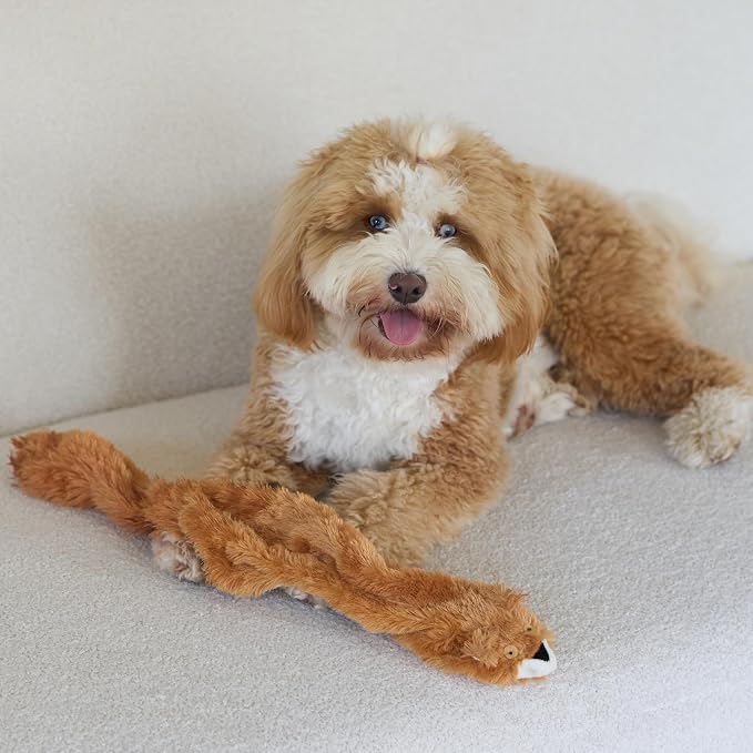 SPOT Skinneeez Squirrel 23-Inch Stuffing-Free Plush Dog Toy – Realistic Design with 2 Squeakers – Durable, Soft Polyester for Medium & Large Dogs – Tug, Fetch & Shake Play – for Moderate Chewers