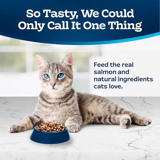 Blue Buffalo Tastefuls Salmon Adult Indoor Dry Cat Food, 5 lb | Salmon & Brown Rice Recipe, Antioxidant-Rich LifeSource Bits, No Corn, Wheat, or Soy