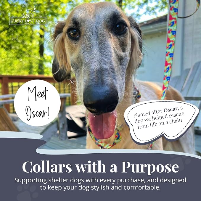 Lucky Love Dog Martingale Collar for Medium Dogs No Slip – Oscar, Medium