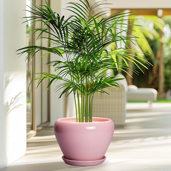 Ceramicfor Ceramic Modern Glaze Succulent Planter Pot with Drainage Hole and Saucer 8 Inch Round Flower Plant Pot for Indoor Outdoor Herb Snake Plants, Pink