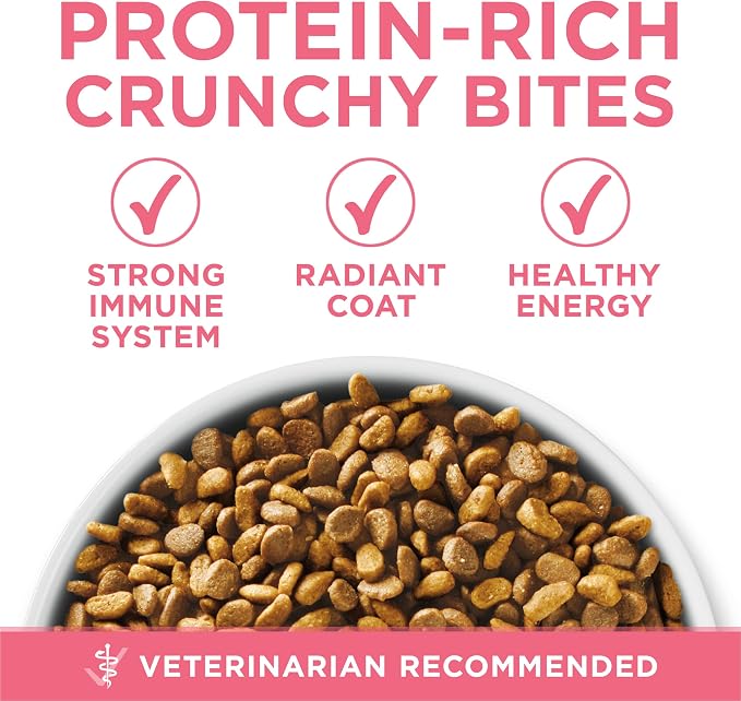 Purina ONE High Protein Natural Kitten Dry Cat Food, 7 lb Bag | Made with real chicken to support growing muscles, DHA for kitten brain development and antioxidants for immunity