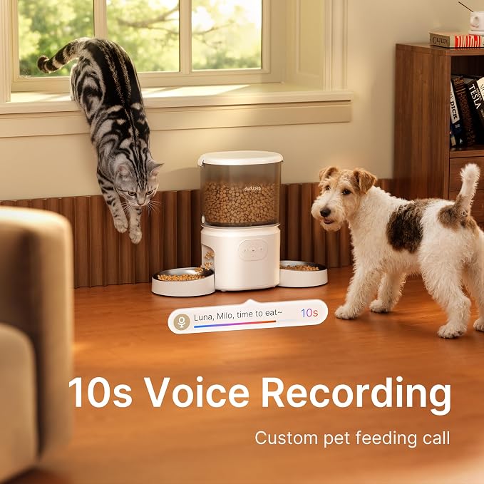Automatic Cat Feeder for 2 Cats, Dual Cat Feeder with 5G WiFi APP | Cat Food Dispenser App Control, Timed Precise Feeding, Portion Control, 5L Auto Pet Feeder, Double Stainless, Voice Recorder