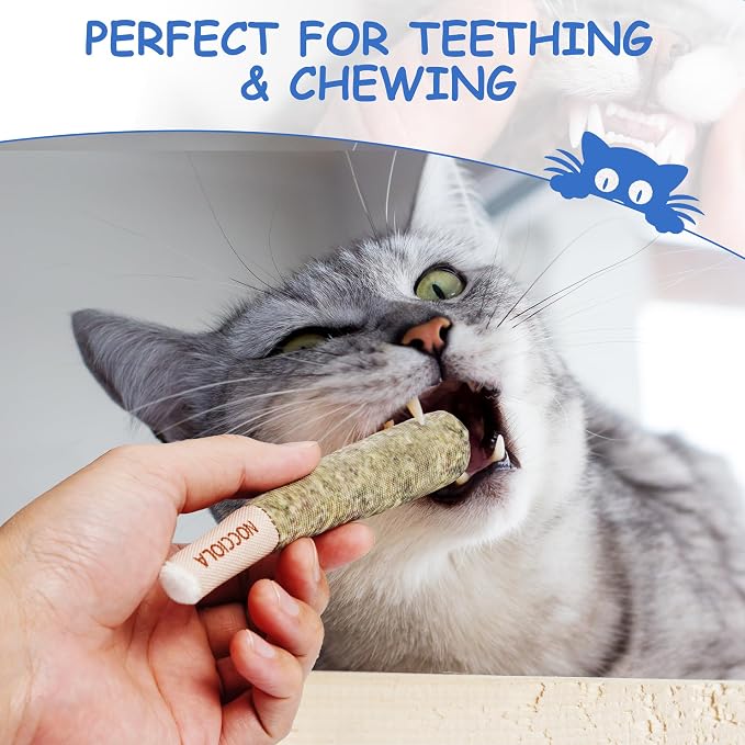 Nocciola 3 Pack Catnip Toys for Cats, Funny Cat Toys Filled with 100% Pure Organic Catnip, Safe Kitten Teething Chew and Kicker Toys, Stress Relieving Fun for Indoor Cats, Blue