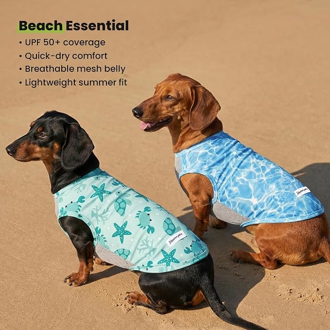 Fitwarm 2 Pack Marine UPF 50+ UV Sun Protection Dog Shirt, Lightweight Cooling Vest, Quick Dry Summer Clothes for Small Dogs Boy Girl, Pet Outfit, Sky Blue, Mint Green, XS