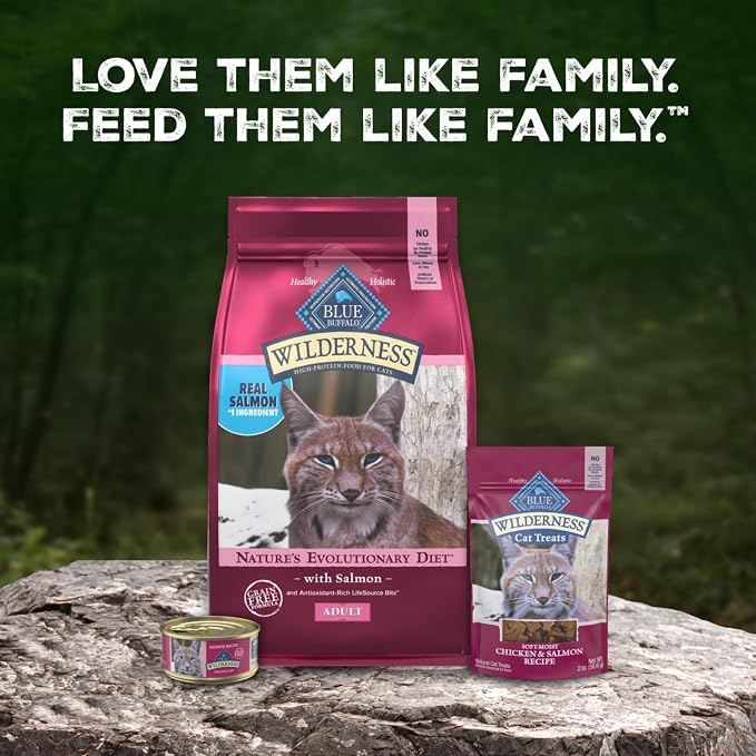 Blue Buffalo Wilderness Salmon Adult Dry Cat Food, Grain-Free, 11 lb | Real Salmon #1 Ingredient, High Protein Nutrition, Supports Immunity with Antioxidant-Rich LifeSource Bits