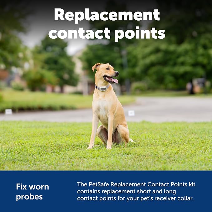 PetSafe Collar Replacement Contact Points