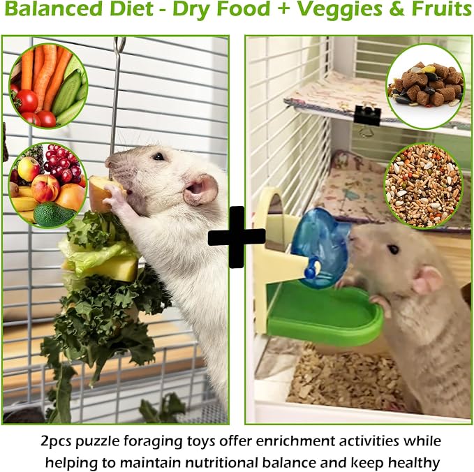 2Pcs Rat Enrichment Toys Set - Fruit/Veg Holder & Treat Dispenser